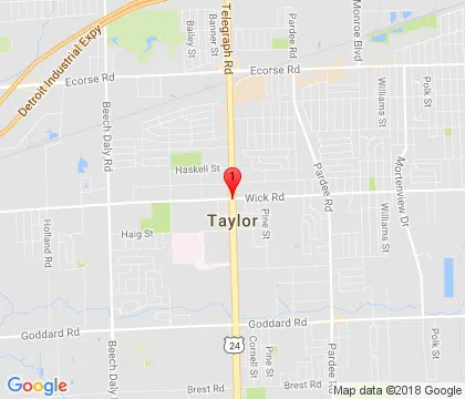 logo-image - taylor-mi